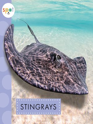 cover image of Stingrays
